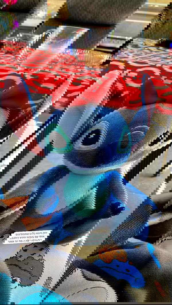 shanidahan7 image ~ Altpins