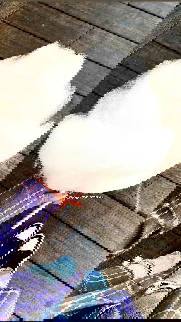 shanidahan7 image ~ Altpins