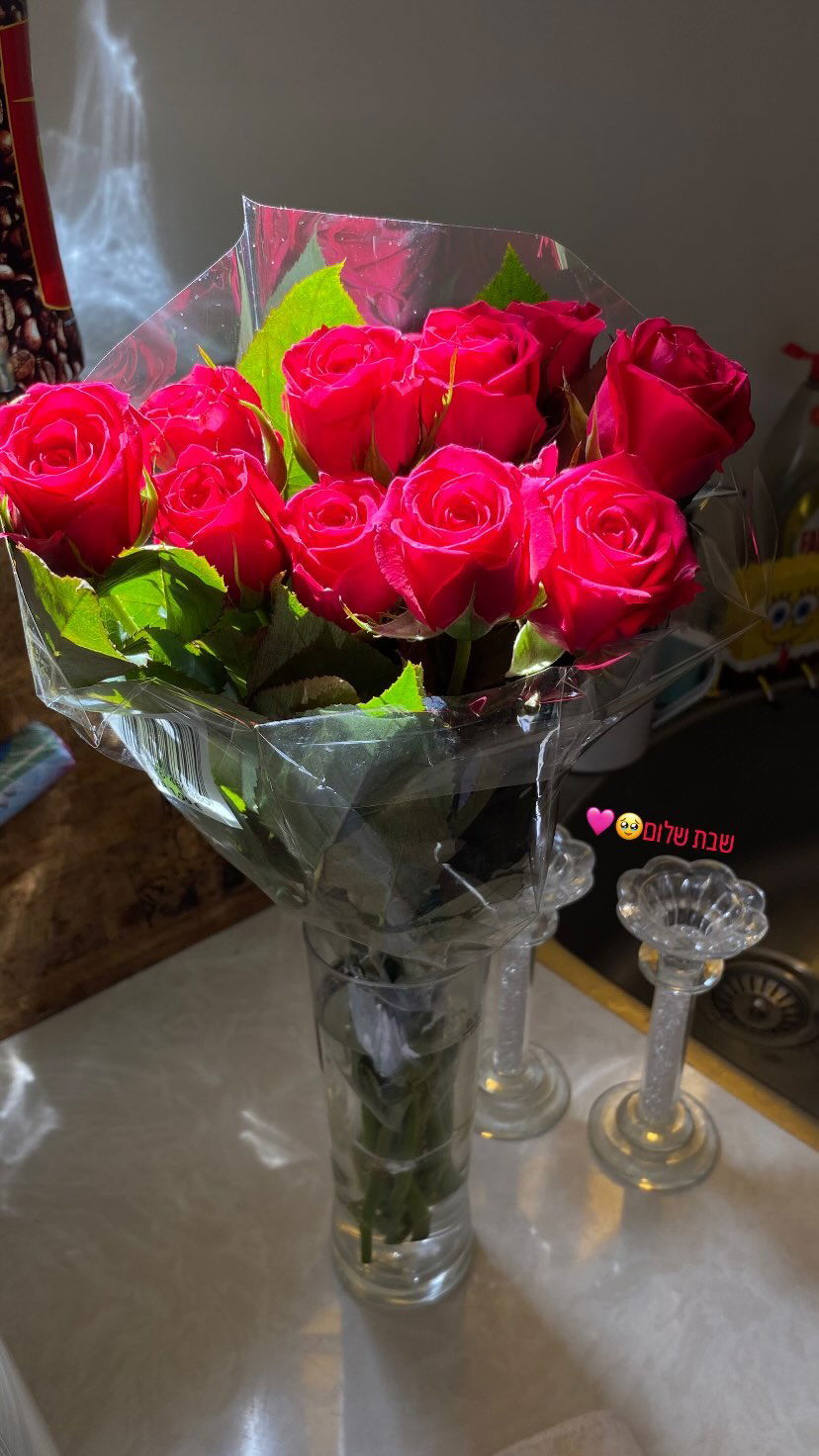 shanidahan7 instagram image archive image