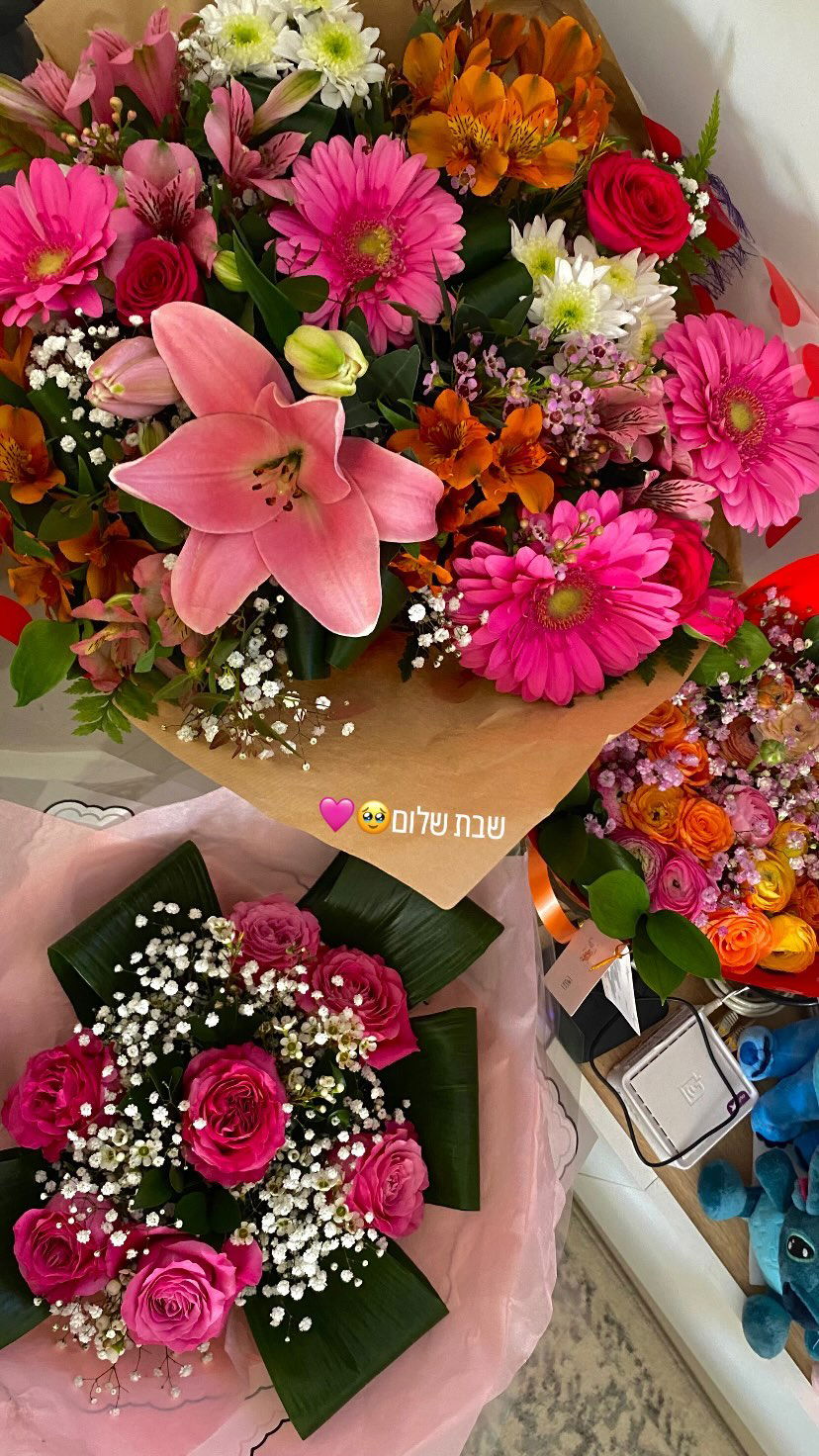 shanidahan7 instagram image archive image