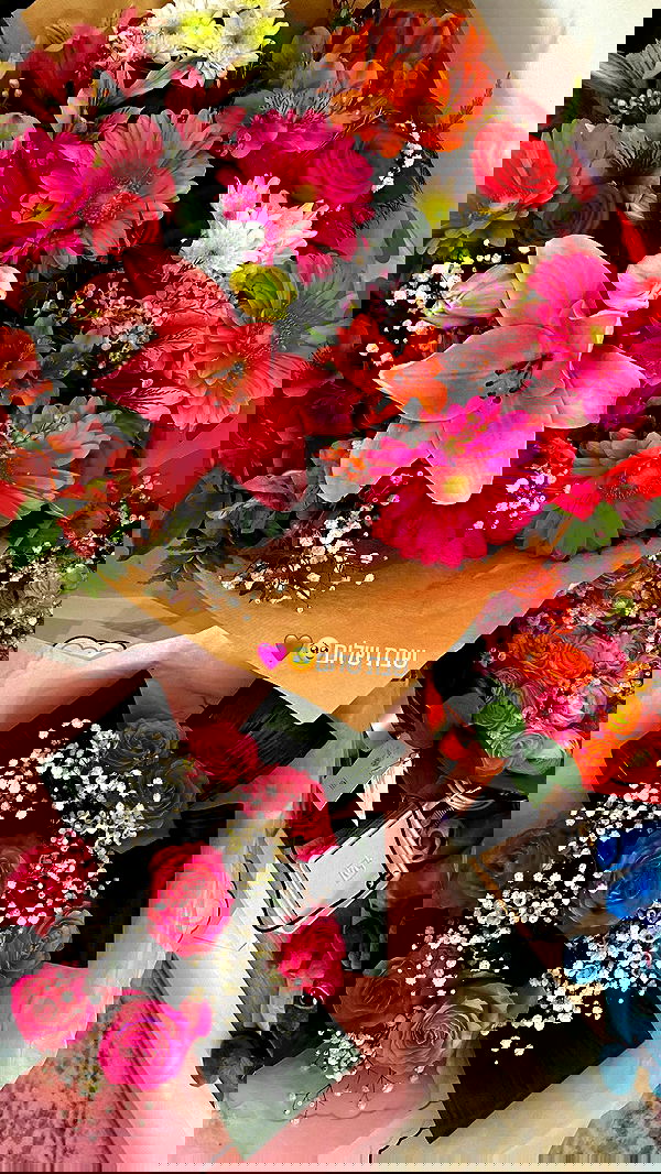 shanidahan7 image ~ Altpins