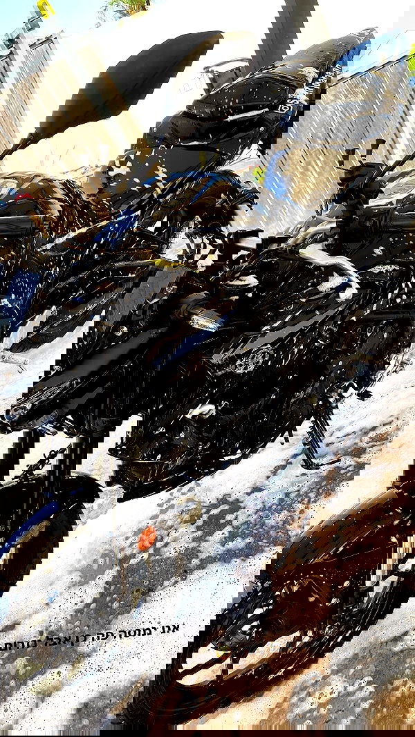 shanidahan7 image ~ Altpins