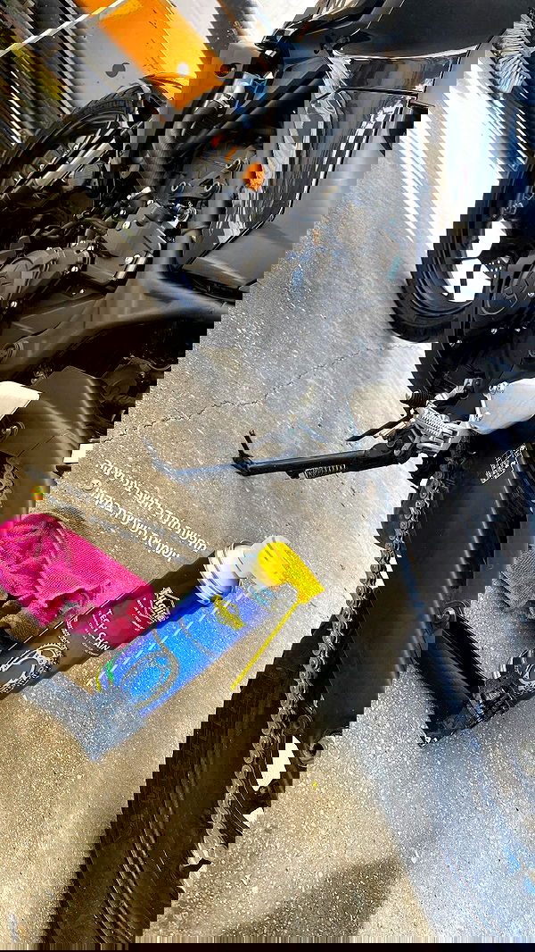 shanidahan7 image ~ Altpins