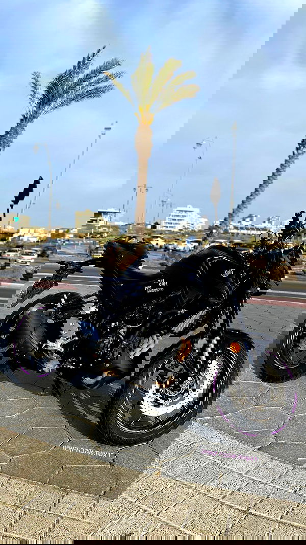 shanidahan7 image ~ Altpins