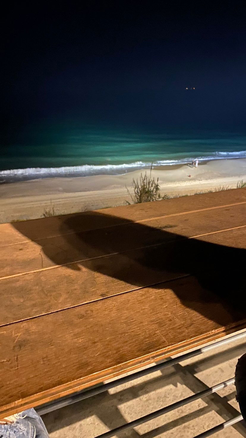 shanidahan7 instagram image archive image