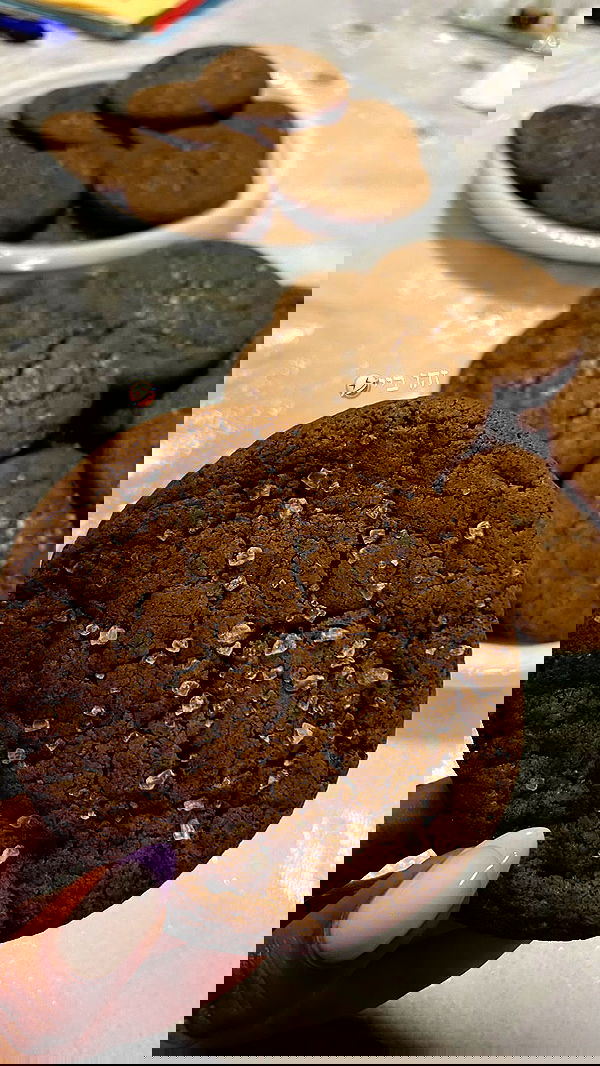 shanidahan7 image ~ Altpins