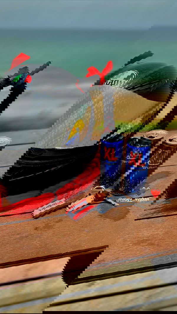 shanidahan7 image ~ Altpins