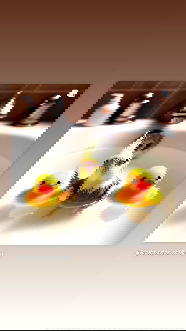 tinapavlov.sky tinapavlov.sky archive image