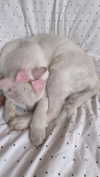 xxk1tty4nnaxx Altpins Profile Picture