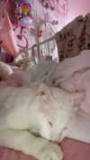 xxk1tty4nnaxx Altpins Profile Picture