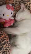 xxk1tty4nnaxx Altpins Profile Picture