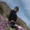 ch111oe Altpins Profile Picture