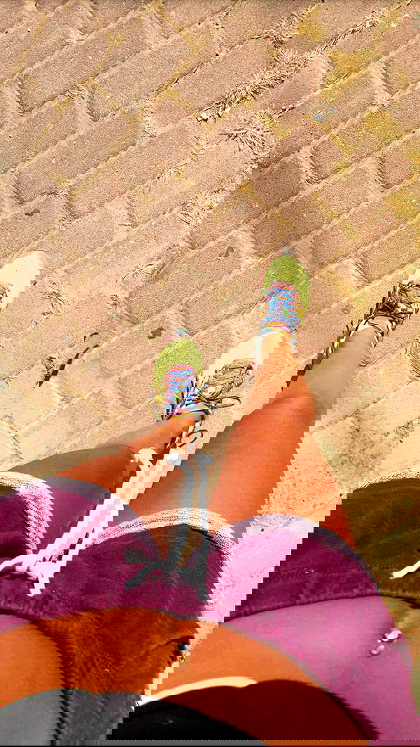 daniel_shallom image ~ Altpins