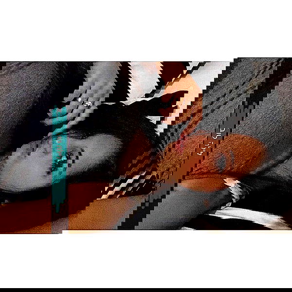 daniel_shallom image ~ Altpins