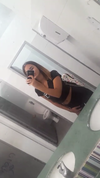 _lironatias Altpins Profile Picture