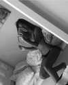 _lironatias Altpins Profile Picture