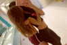 agam_yifrach Altpins Profile Picture