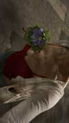 alex_barboy Altpins Profile Picture