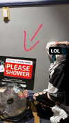 alyri_tv Altpins Profile Picture