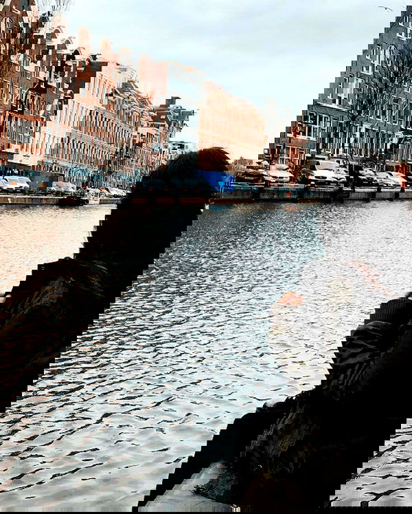 biton__adi biton__adi archive image