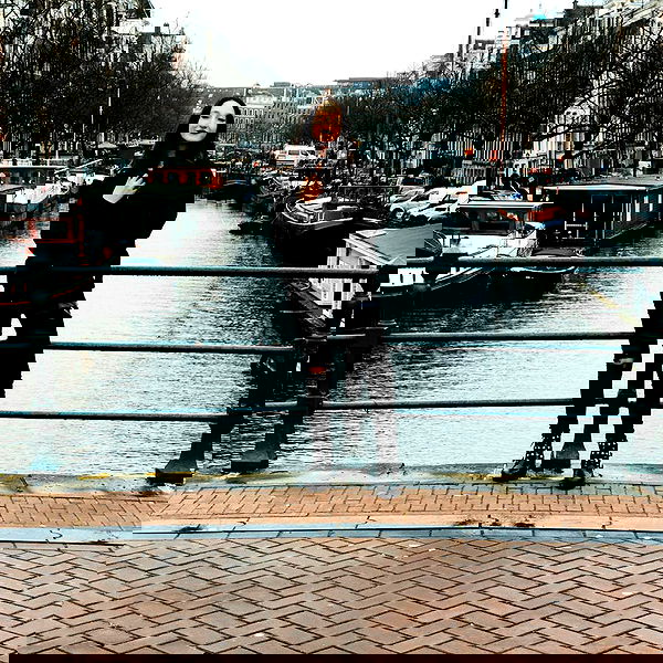 biton__adi biton__adi archive image