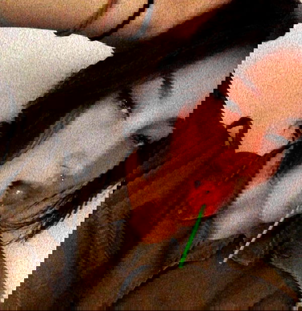 biton__adi biton__adi archive image