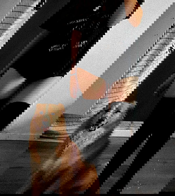 biton__adi biton__adi archive image