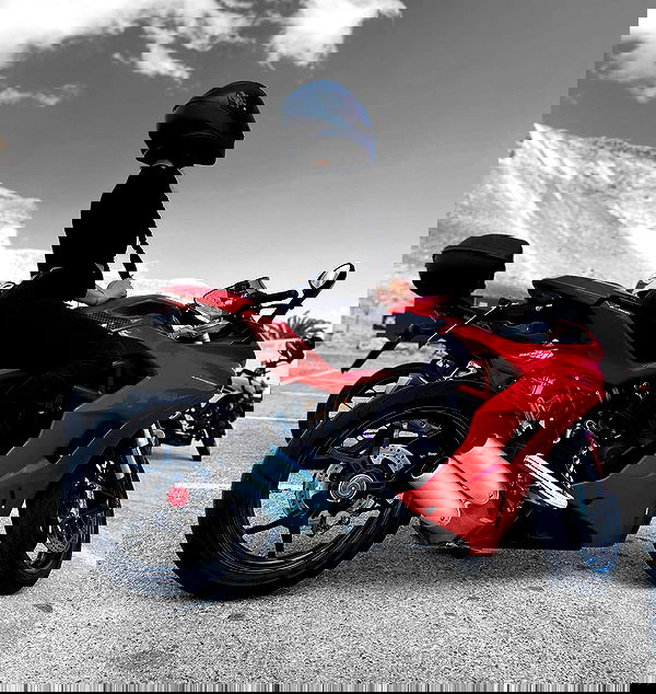 biton__adi biton__adi archive image