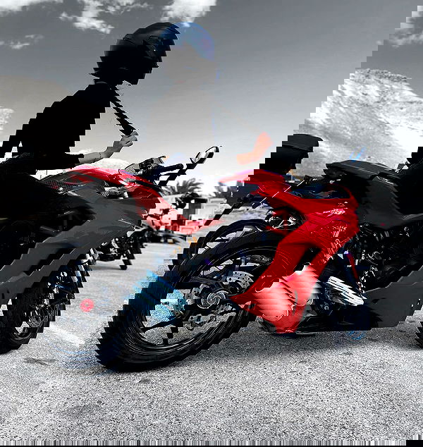 biton__adi biton__adi archive image