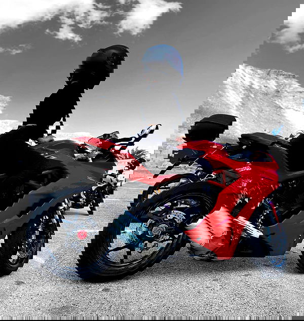 biton__adi biton__adi archive image