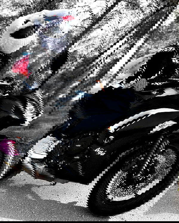 biton__adi biton__adi archive image