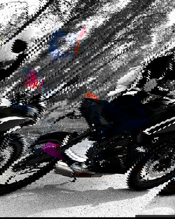 biton__adi biton__adi archive image