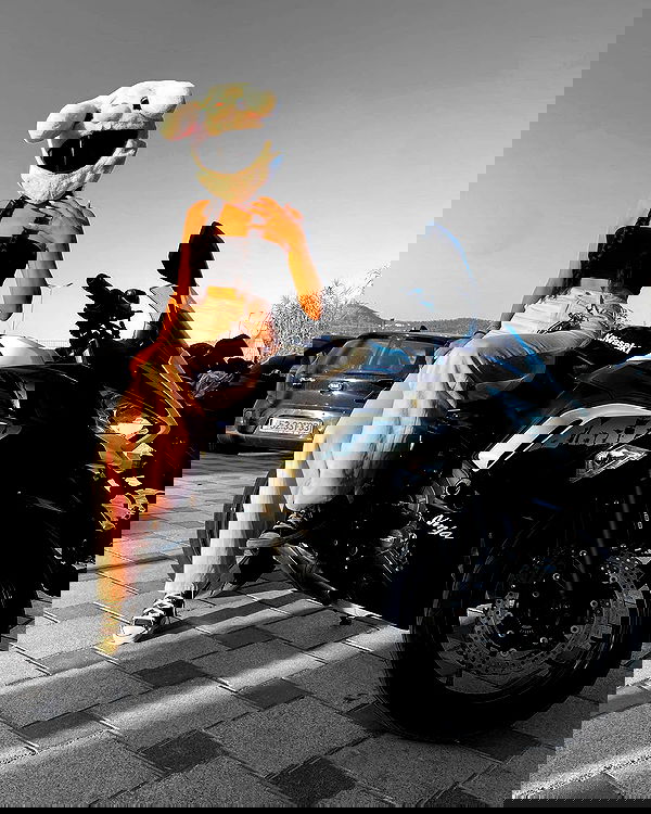 biton__adi biton__adi archive image