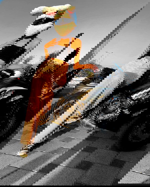 biton__adi biton__adi archive image