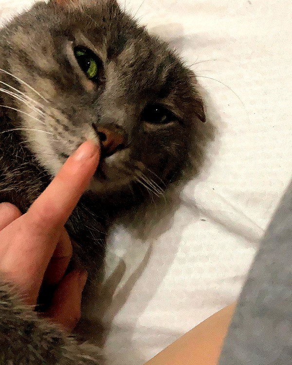 canabaputgir instagram image archive image