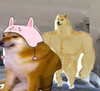 dafnudes Altpins Profile Picture