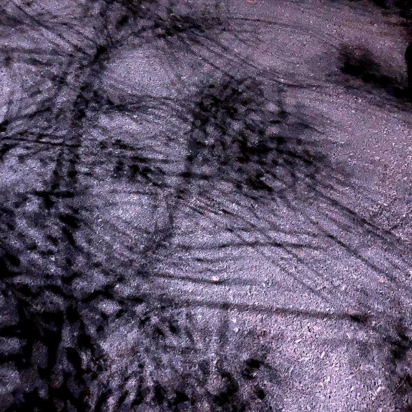 dafnudes instagram image archive image