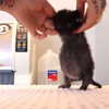 dafnudes Altpins Profile Picture