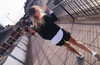 diana.osipov Altpins Profile Picture