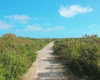 dianavgalvis Altpins Profile Picture