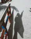 dianavgalvis Altpins Profile Picture