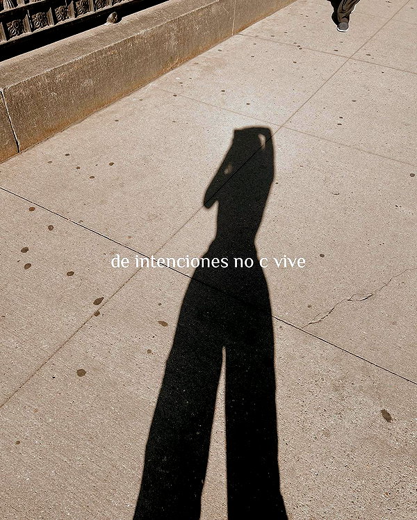 dianavgalvis instagram image archive image