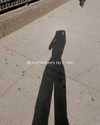 dianavgalvis Altpins Profile Picture