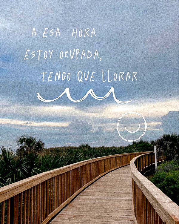 dianavgalvis instagram image archive image