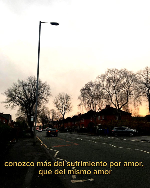 dianavgalvis instagram image archive image