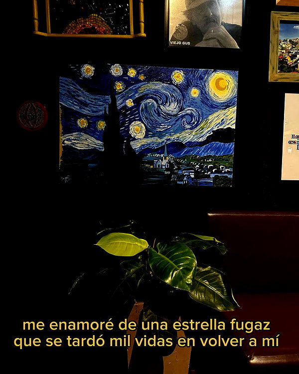 dianavgalvis instagram image archive image
