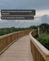 dianavgalvis Altpins Profile Picture