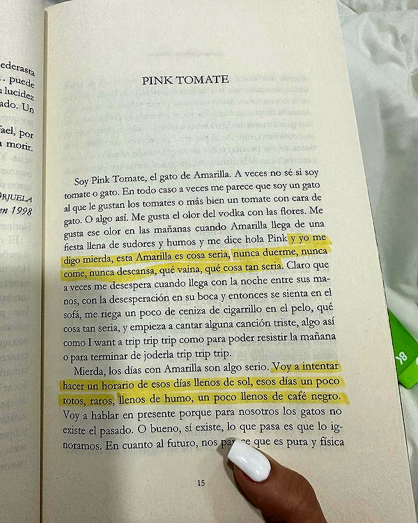 dianavgalvis instagram image archive image