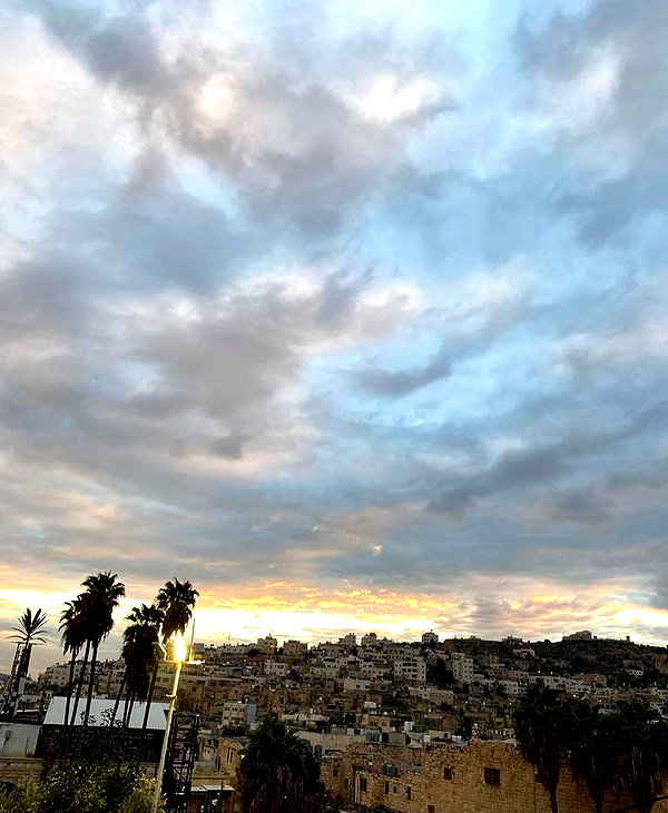 hagarschubert instagram image archive image