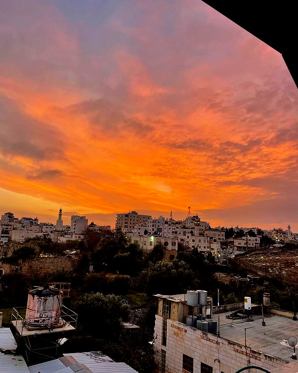 hagarschubert instagram image archive image